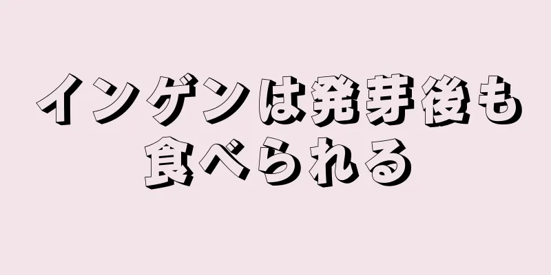 インゲンは発芽後も食べられる