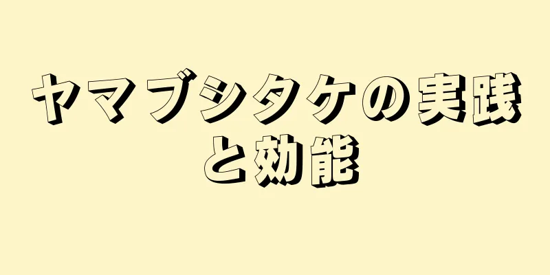 ヤマブシタケの実践と効能