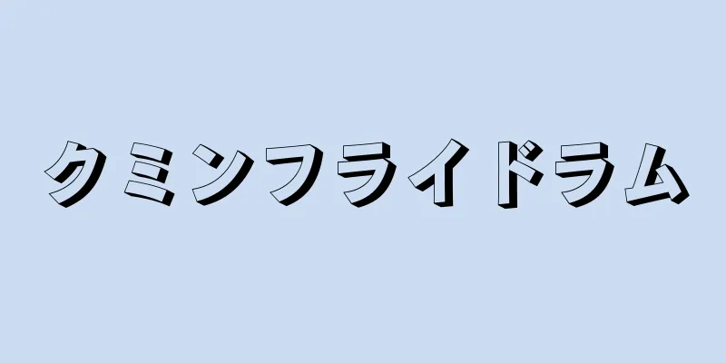 クミンフライドラム