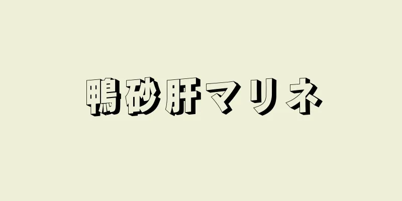 鴨砂肝マリネ