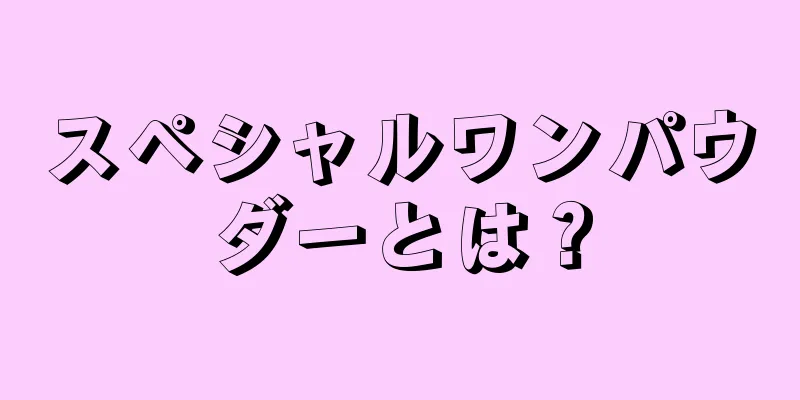 スペシャルワンパウダーとは？