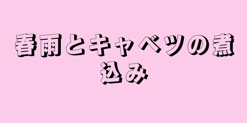 春雨とキャベツの煮込み