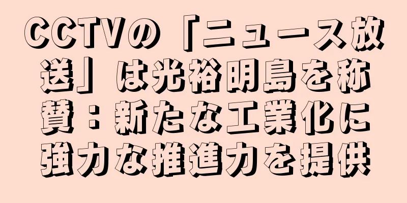 CCTVの「ニュース放送」は光裕明島を称賛：新たな工業化に強力な推進力を提供