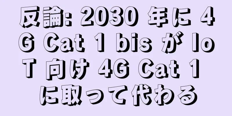 反論: 2030 年に 4G Cat 1 bis が IoT 向け 4G Cat 1 に取って代わる