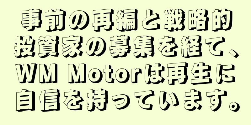 事前の再編と戦略的投資家の募集を経て、WM Motorは再生に自信を持っています。
