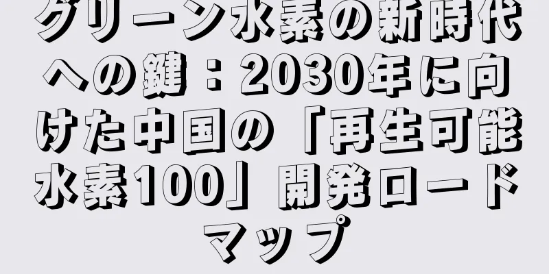 グリーン水素の新時代への鍵：2030年に向けた中国の「再生可能水素100」開発ロードマップ