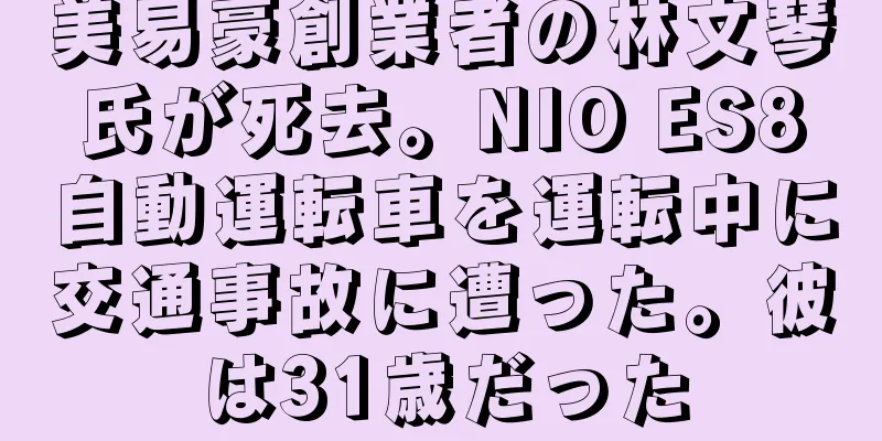 美易豪創業者の林文琴氏が死去。NIO ES8自動運転車を運転中に交通事故に遭った。彼は31歳だった