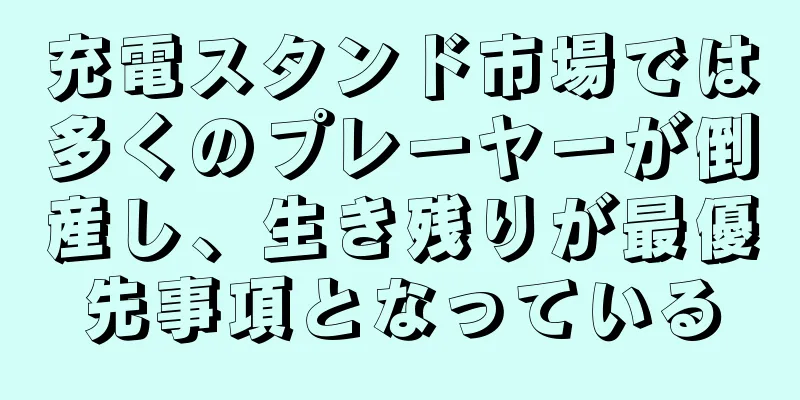 充電スタンド市場では多くのプレーヤーが倒産し、生き残りが最優先事項となっている