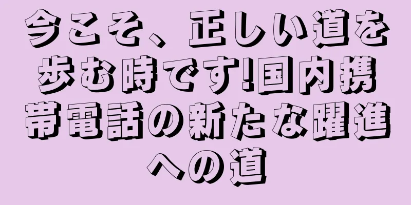 今こそ、正しい道を歩む時です!国内携帯電話の新たな躍進への道