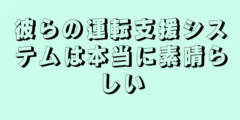 彼らの運転支援システムは本当に素晴らしい