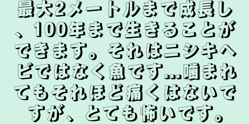 最大2メートルまで成長し、100年まで生きることができます。それはニシキヘビではなく魚です...噛まれてもそれほど痛くはないですが、とても怖いです。