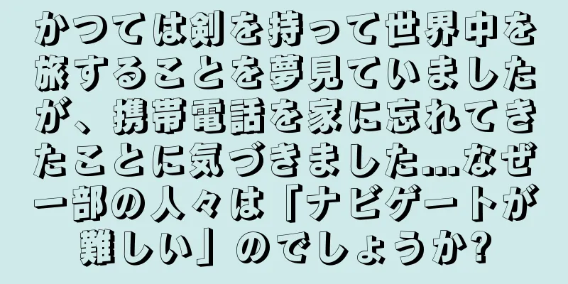 かつては剣を持って世界中を旅することを夢見ていましたが、携帯電話を家に忘れてきたことに気づきました...なぜ一部の人々は「ナビゲートが難しい」のでしょうか?