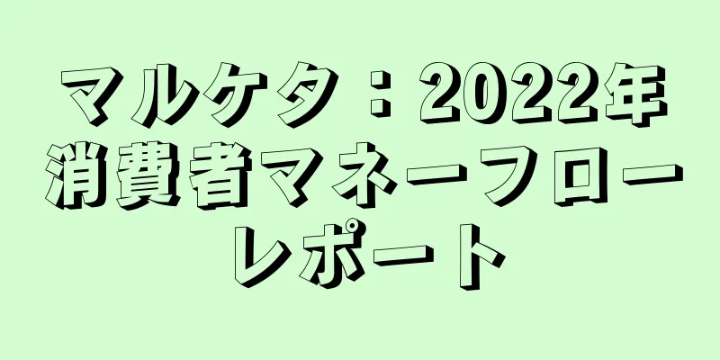 マルケタ：2022年消費者マネーフローレポート