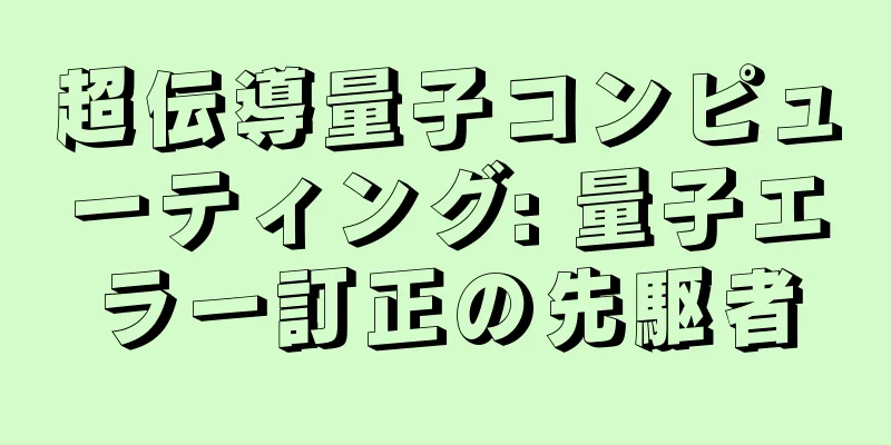 超伝導量子コンピューティング: 量子エラー訂正の先駆者