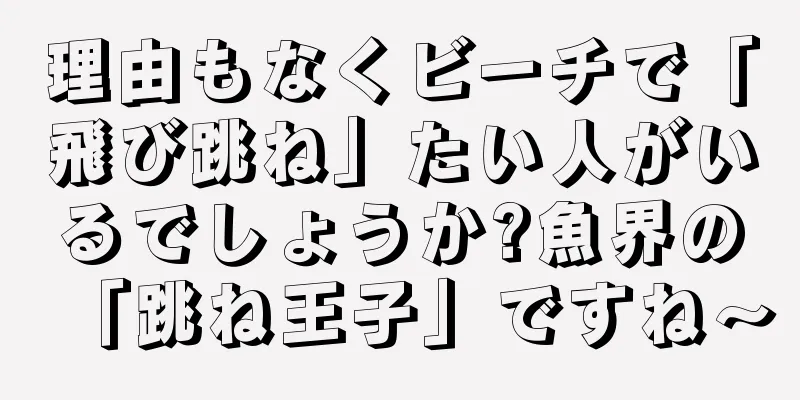 理由もなくビーチで「飛び跳ね」たい人がいるでしょうか?魚界の「跳ね王子」ですね〜