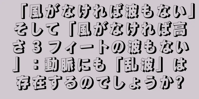 「風がなければ波もない」そして「風がなければ高さ 3 フィートの波もない」：動脈にも「乱波」は存在するのでしょうか?