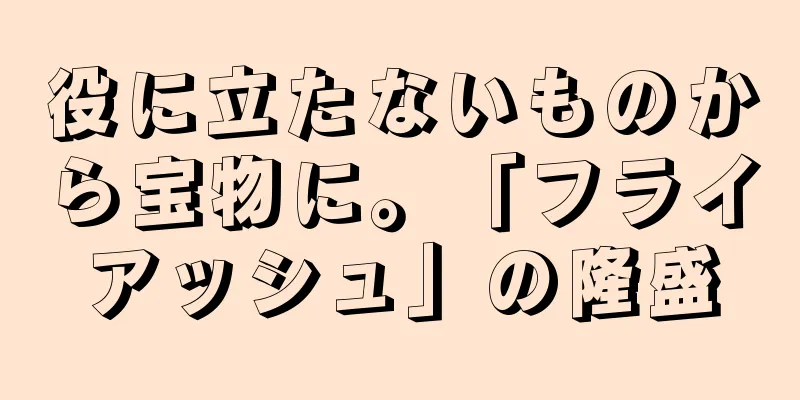 役に立たないものから宝物に。「フライアッシュ」の隆盛