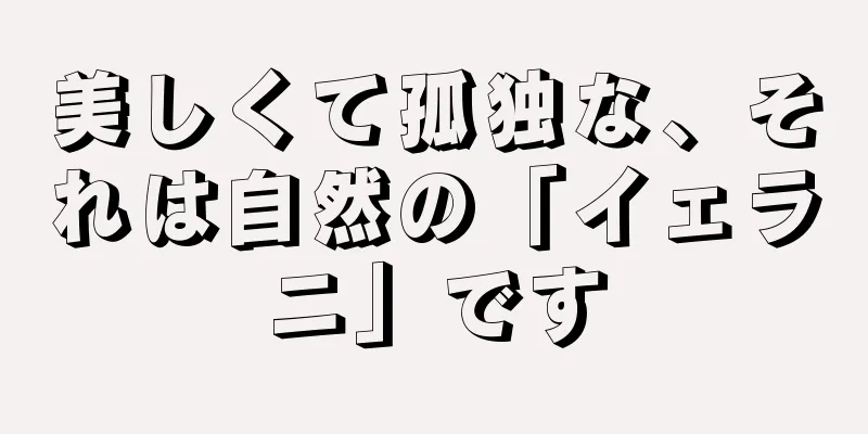 美しくて孤独な、それは自然の「イェラニ」です