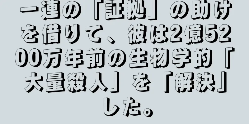 一連の「証拠」の助けを借りて、彼は2億5200万年前の生物学的「大量殺人」を「解決」した。