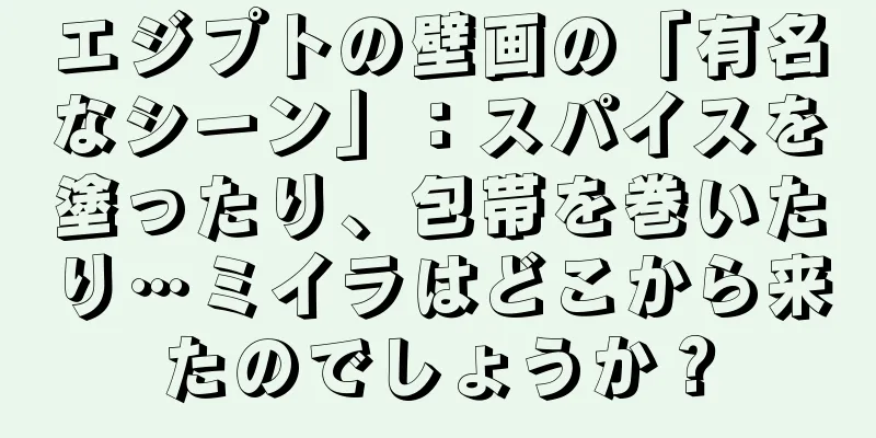 エジプトの壁画の「有名なシーン」：スパイスを塗ったり、包帯を巻いたり…ミイラはどこから来たのでしょうか？