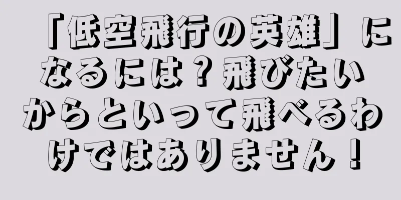 「低空飛行の英雄」になるには？飛びたいからといって飛べるわけではありません！