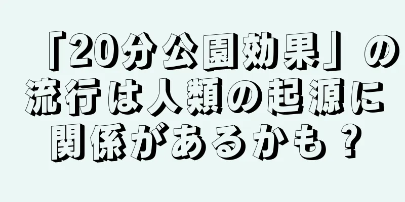 「20分公園効果」の流行は人類の起源に関係があるかも？
