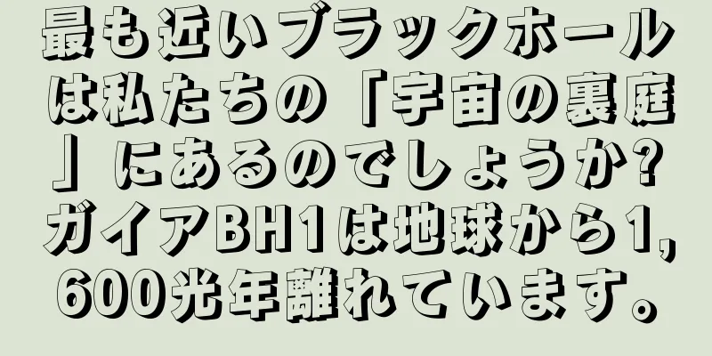 最も近いブラックホールは私たちの「宇宙の裏庭」にあるのでしょうか?ガイアBH1は地球から1,600光年離れています。