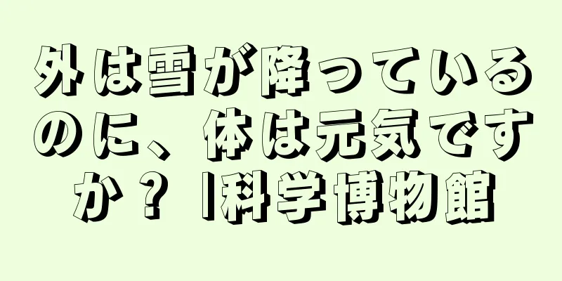 外は雪が降っているのに、体は元気ですか？ |科学博物館