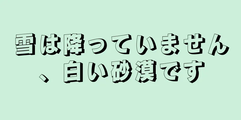 雪は降っていません、白い砂漠です