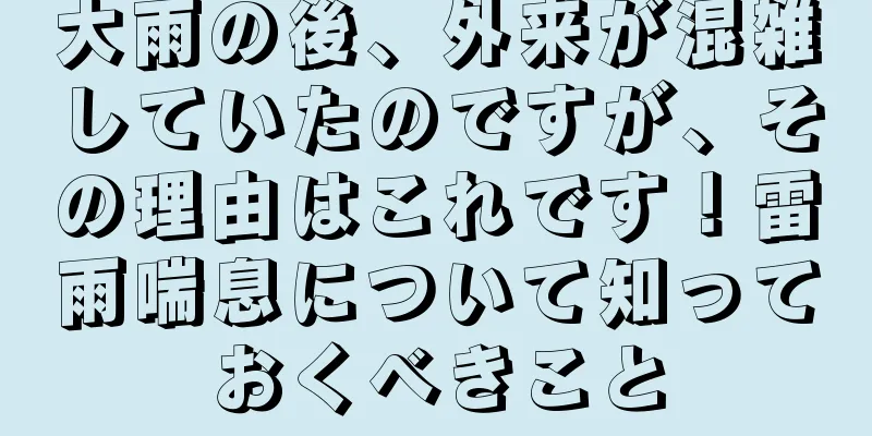 大雨の後、外来が混雑していたのですが、その理由はこれです！雷雨喘息について知っておくべきこと