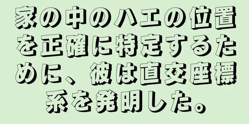 家の中のハエの位置を正確に特定するために、彼は直交座標系を発明した。