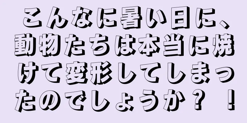 こんなに暑い日に、動物たちは本当に焼けて変形してしまったのでしょうか？ ！