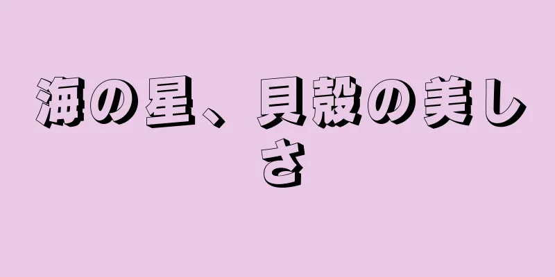 海の星、貝殻の美しさ