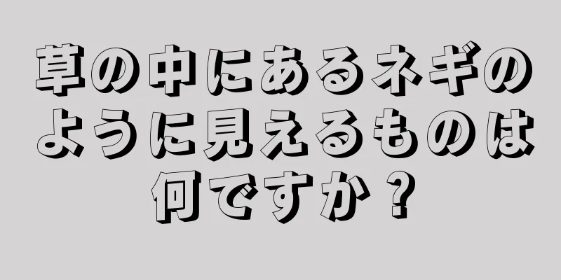 草の中にあるネギのように見えるものは何ですか？