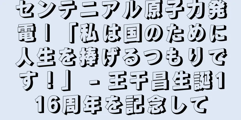 センテニアル原子力発電 | 「私は国のために人生を捧げるつもりです！」 - 王干昌生誕116周年を記念して