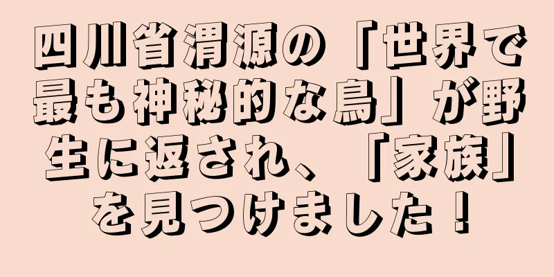 四川省渭源の「世界で最も神秘的な鳥」が野生に返され、「家族」を見つけました！