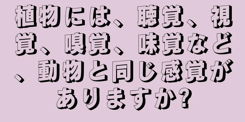 植物には、聴覚、視覚、嗅覚、味覚など、動物と同じ感覚がありますか?