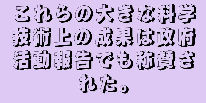 これらの大きな科学技術上の成果は政府活動報告でも称賛された。