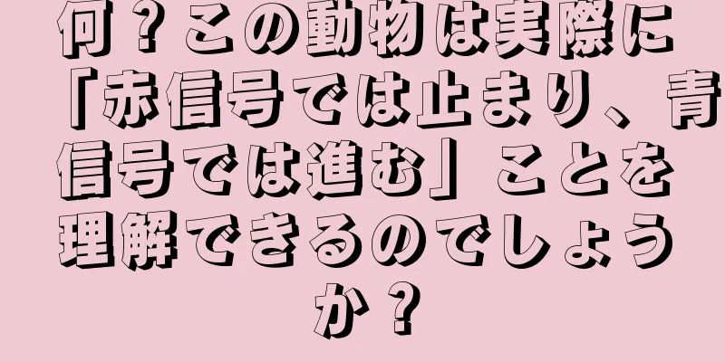 何？この動物は実際に「赤信号では止まり、青信号では進む」ことを理解できるのでしょうか？