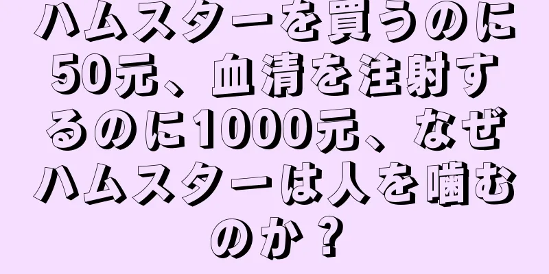 ハムスターを買うのに50元、血清を注射するのに1000元、なぜハムスターは人を噛むのか？