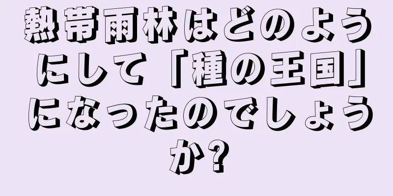 熱帯雨林はどのようにして「種の王国」になったのでしょうか?