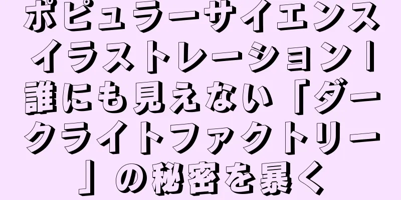ポピュラーサイエンスイラストレーション |誰にも見えない「ダークライトファクトリー」の秘密を暴く