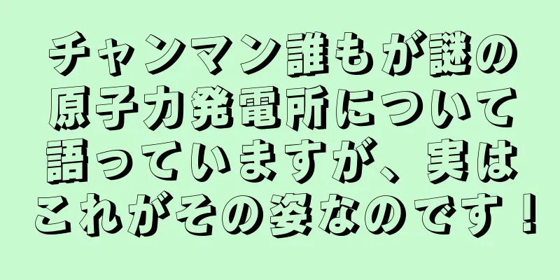 チャンマン誰もが謎の原子力発電所について語っていますが、実はこれがその姿なのです！