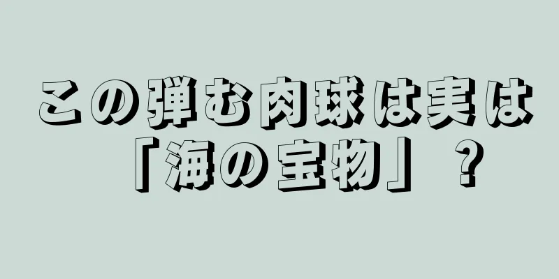 この弾む肉球は実は「海の宝物」？
