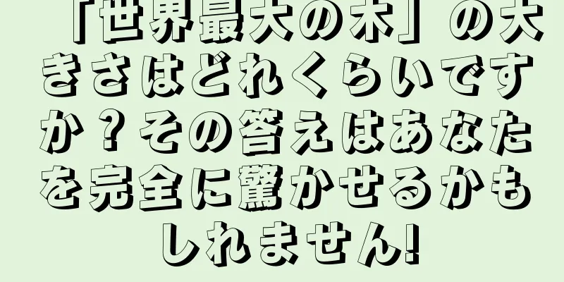 「世界最大の木」の大きさはどれくらいですか？その答えはあなたを完全に驚かせるかもしれません!