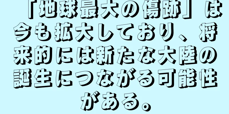 「地球最大の傷跡」は今も拡大しており、将来的には新たな大陸の誕生につながる可能性がある。