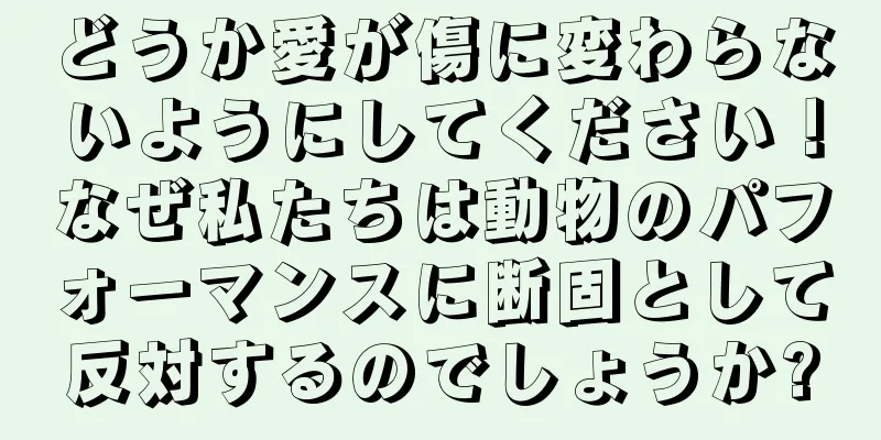 どうか愛が傷に変わらないようにしてください！なぜ私たちは動物のパフォーマンスに断固として反対するのでしょうか?