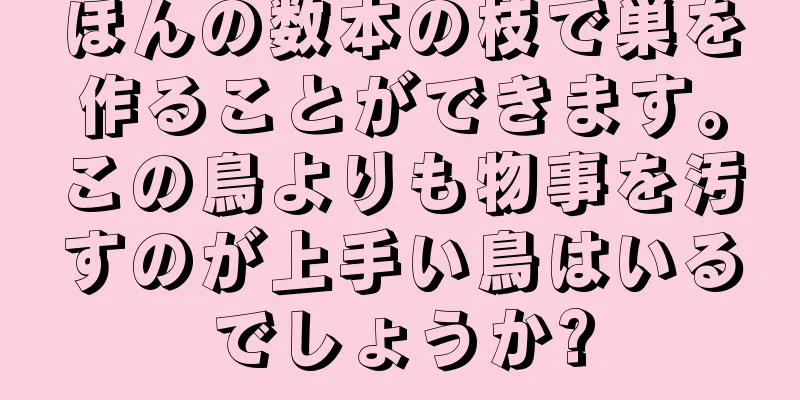 ほんの数本の枝で巣を作ることができます。この鳥よりも物事を汚すのが上手い鳥はいるでしょうか?