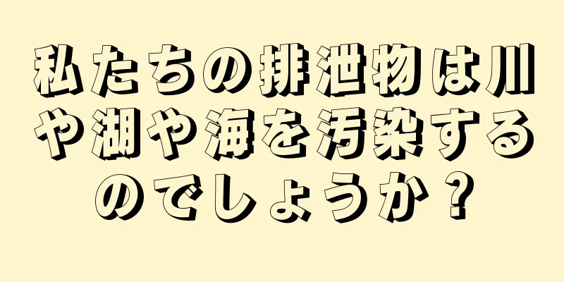 私たちの排泄物は川や湖や海を汚染するのでしょうか？