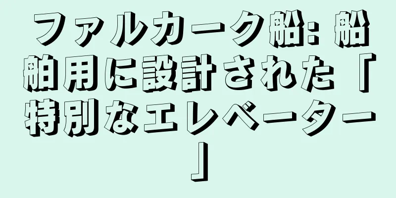 ファルカーク船: 船舶用に設計された「特別なエレベーター」